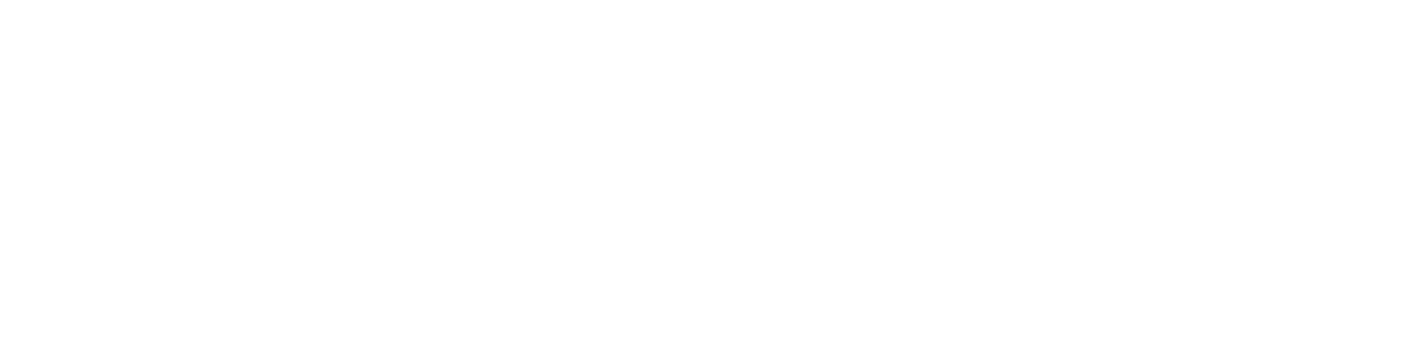Banner Logo